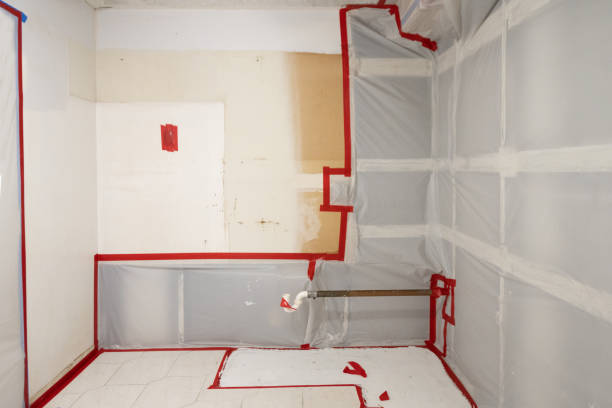 Best Basement Mold Removal  in White Oak, PA
