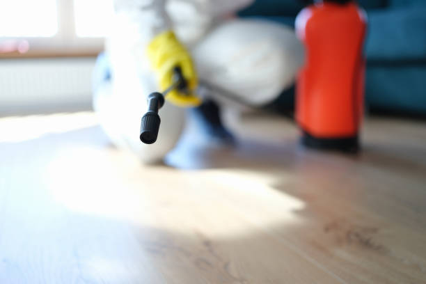 Professional Mold Removal in White Oak, PA